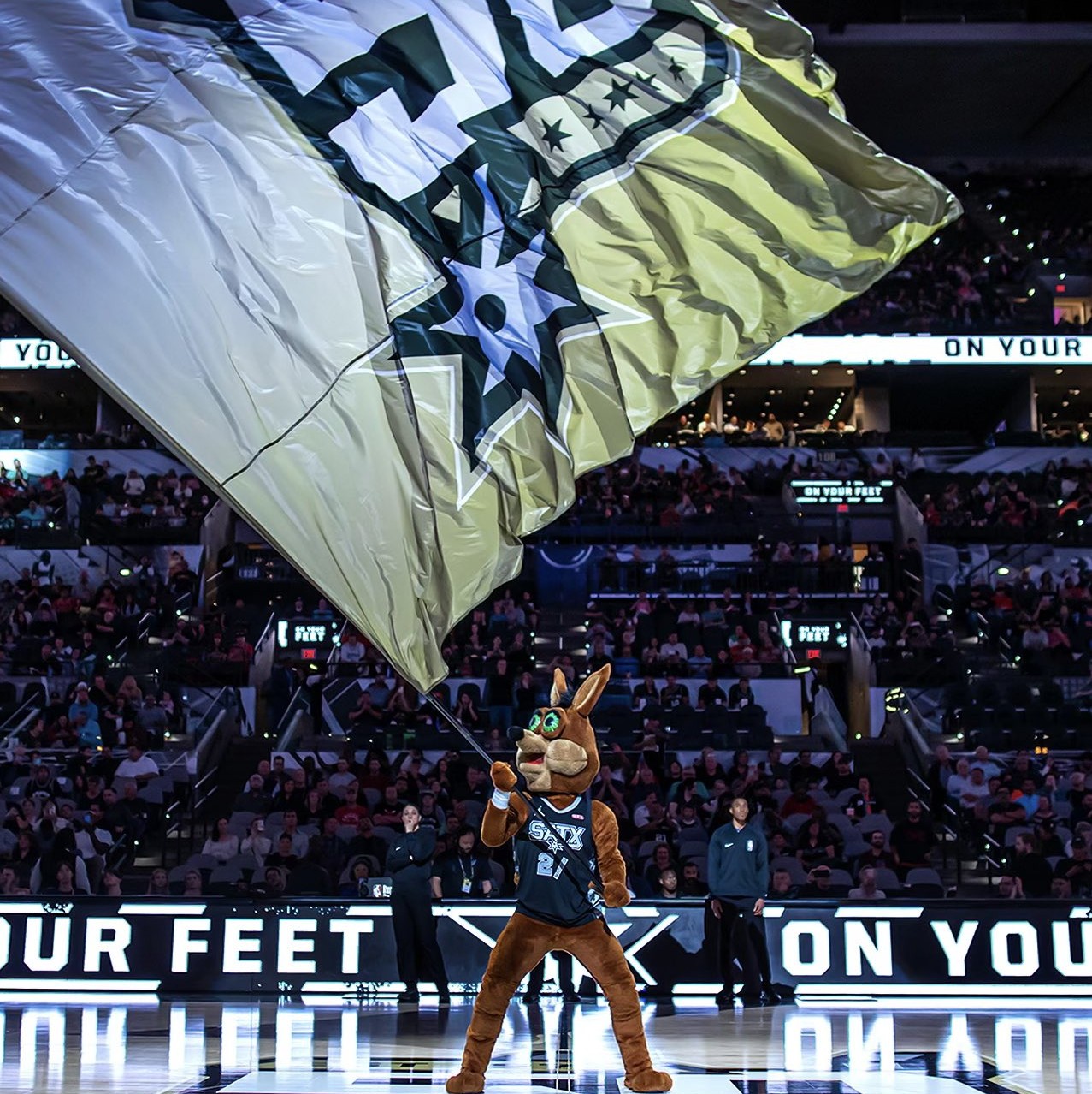 成功夺得了 成功夺得了